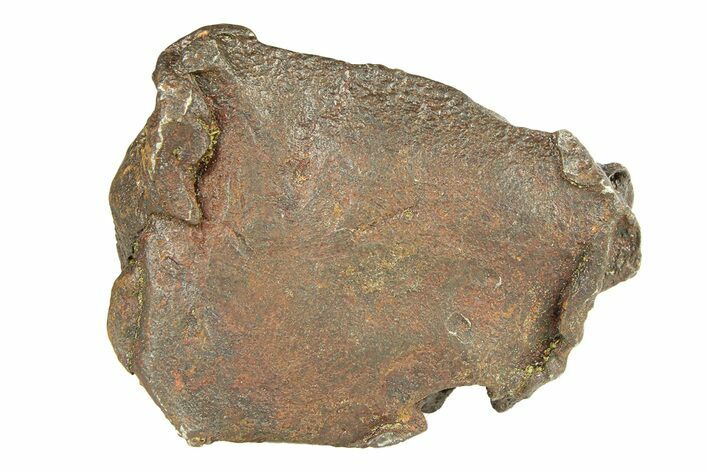 Gebel Kamil Iron Meteorite Fragment ( g) - Egypt #291809